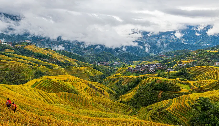 2e44e8c03f77212cc5e6b38d74cc4105-sz_426548