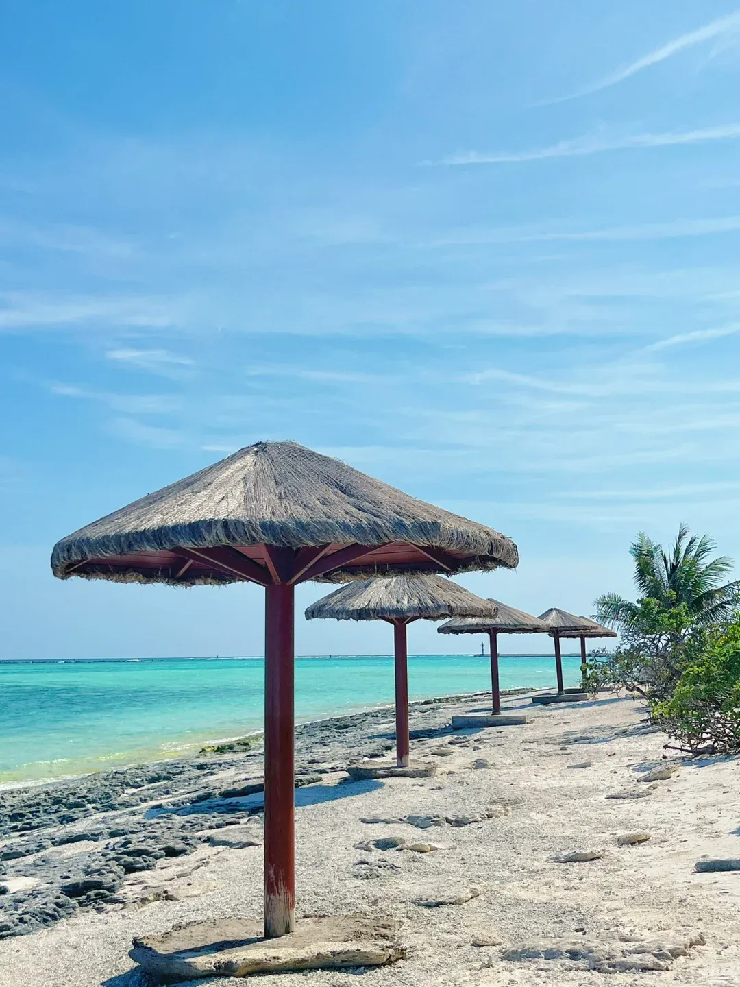 2eae15c1dc5aa5f056c9d7a33b1f47fb-sz_1784949-1