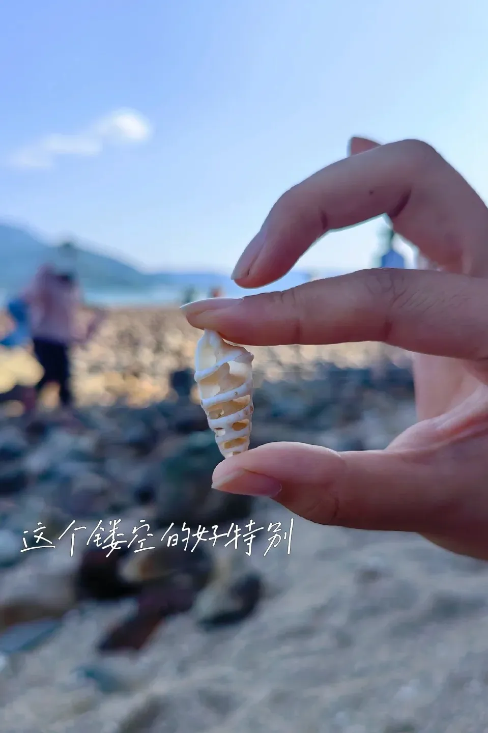 2ed60bc71bedfe56a7c10440a43e7b59-sz_163586