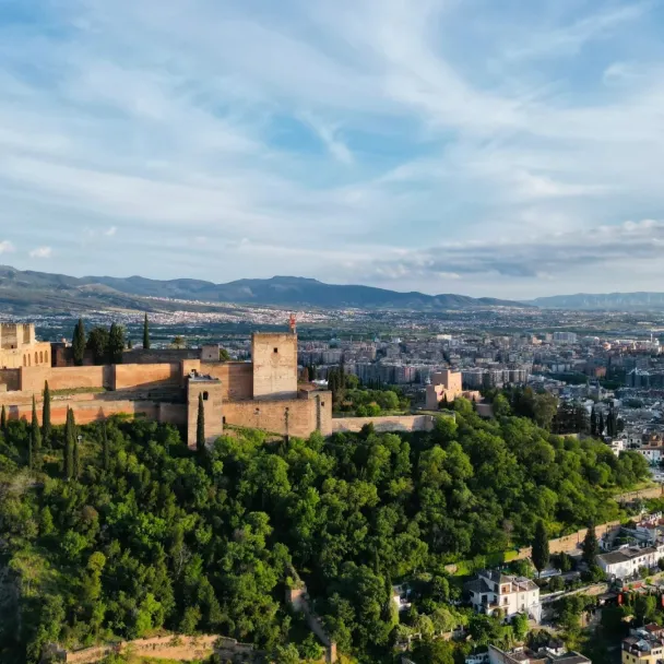 2eef7b3e51995240265819f6f0907444-sz_568104