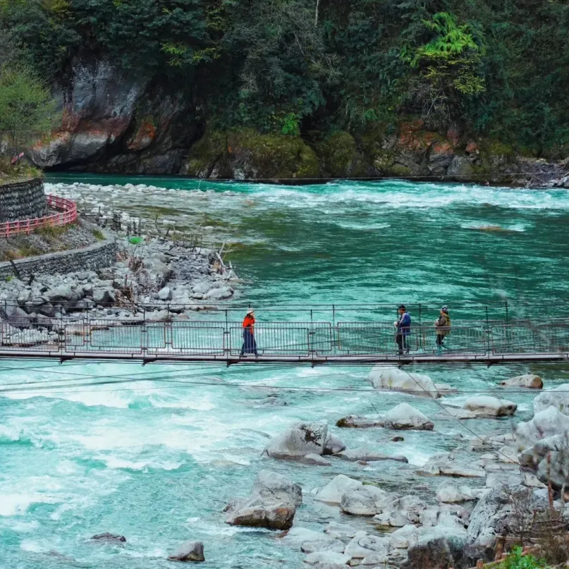 2f2a7974ac8987c90da14fef2c1efc54-sz_1835399