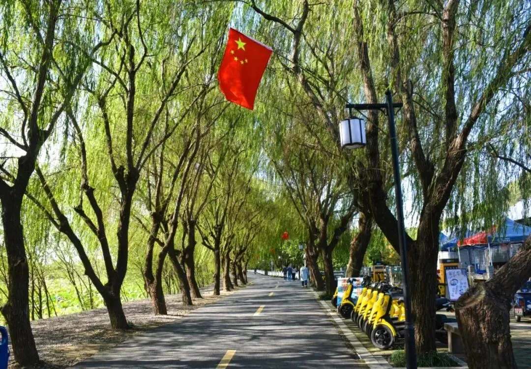 2f32f62d947dd166de25b4335f483a02-sz_250112