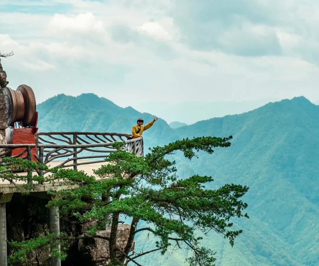 2f8a76fa54893df3312fd56f90f72975-sz_464709