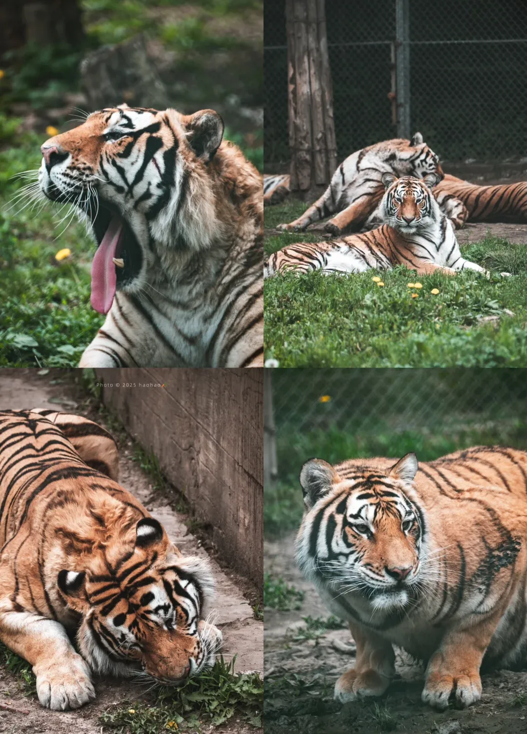 2fcc54e142a37448b183f7005fbdecc5-sz_3087638