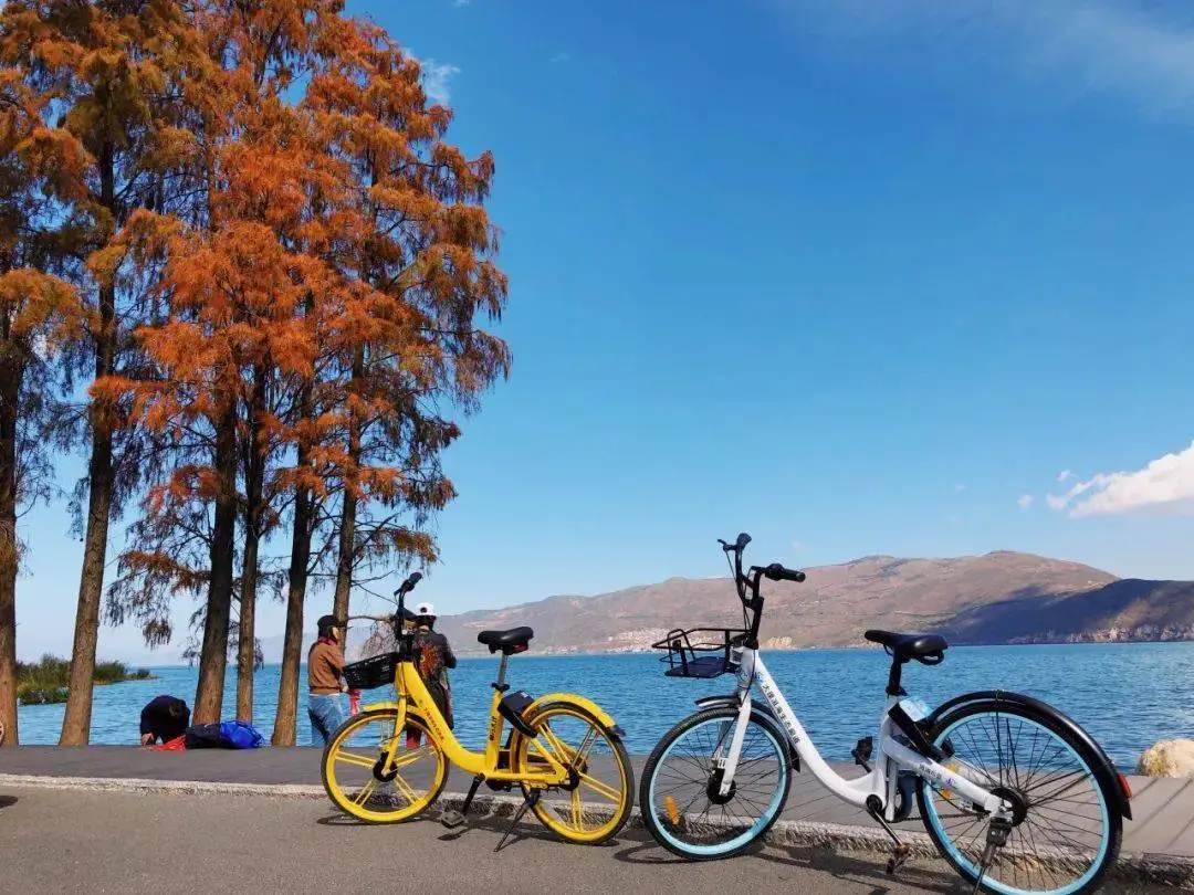 2fe6a49b1d6dcd56cd12d103207306d0-sz_148009