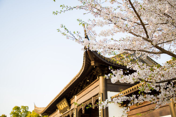 2rhO-WCLb5BH7JA4ByELtsil0uVahw9g