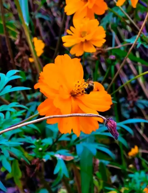 304b7eef3f1fb2e748e6983dd8ff619e-sz_52342