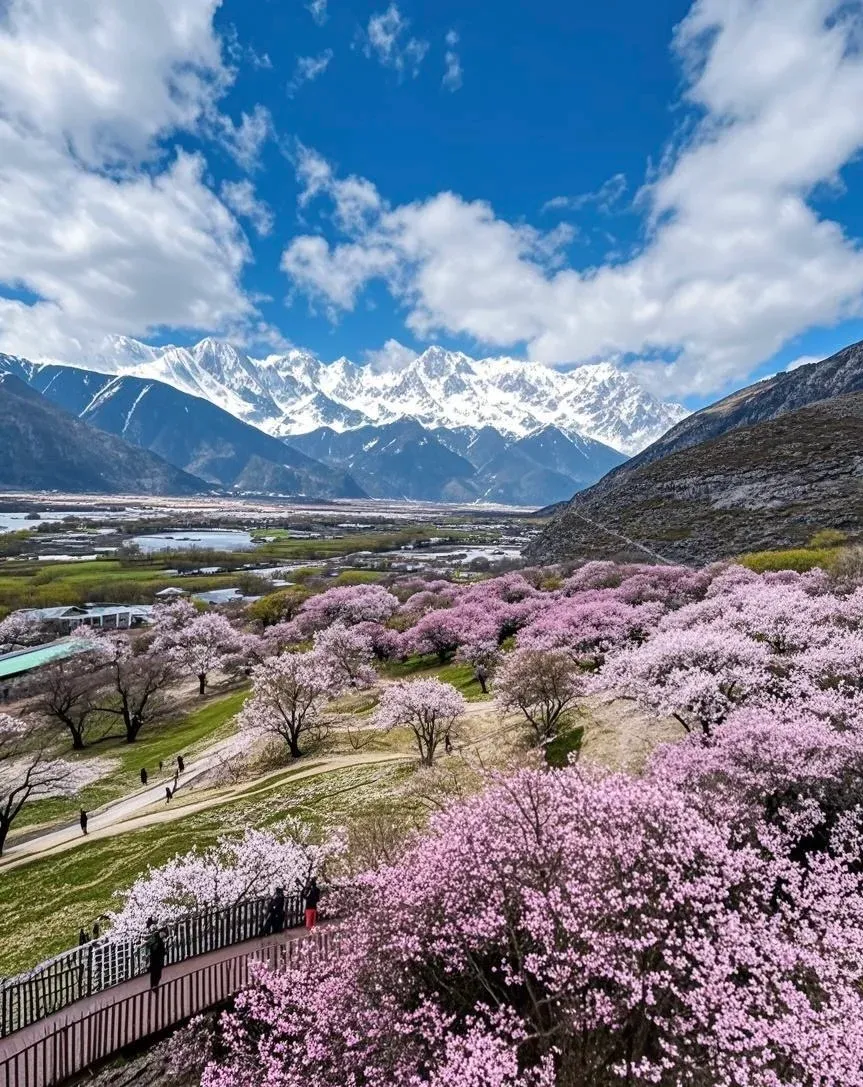 3099462abbdd0ff7a0ba59974adaba6e-sz_1761150