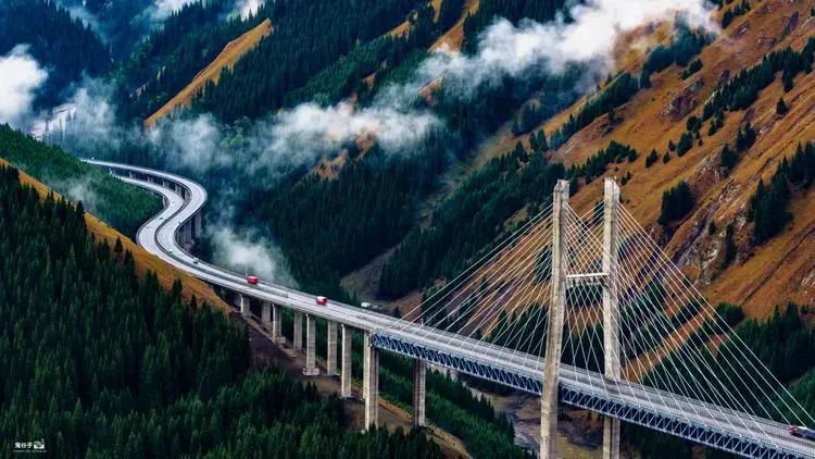 309d4354d938421c3e52fc10474b7ccd-sz_83486