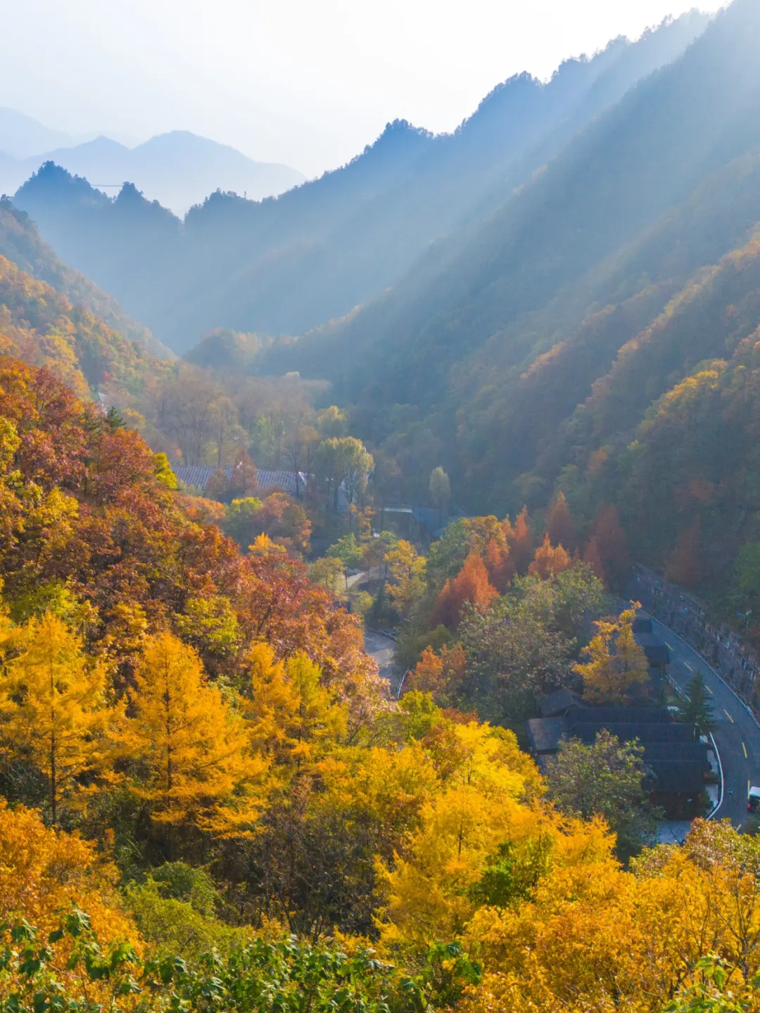 30a1f54577db92b8418ef907d4024e0b-sz_3826131