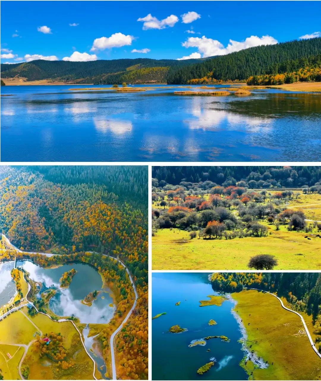 30bd0e3941435231aadacd8519befd04-sz_474232