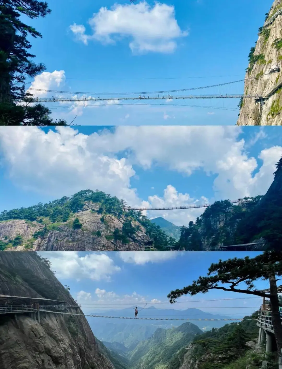 312c2ecfcdeaf399c69c287c73667a2c-sz_186141