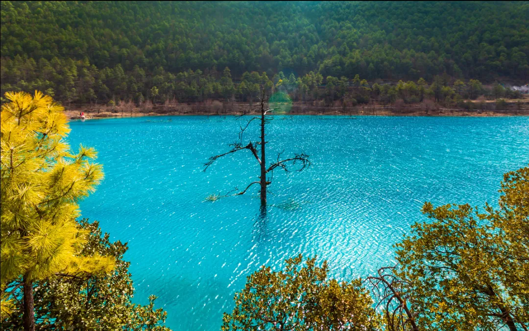 313055bbddf2550fc3dbd05b45c3036e-sz_2324896