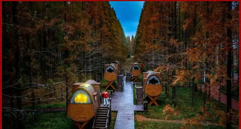 313b089de60323bb0e39c7cacc6d1079