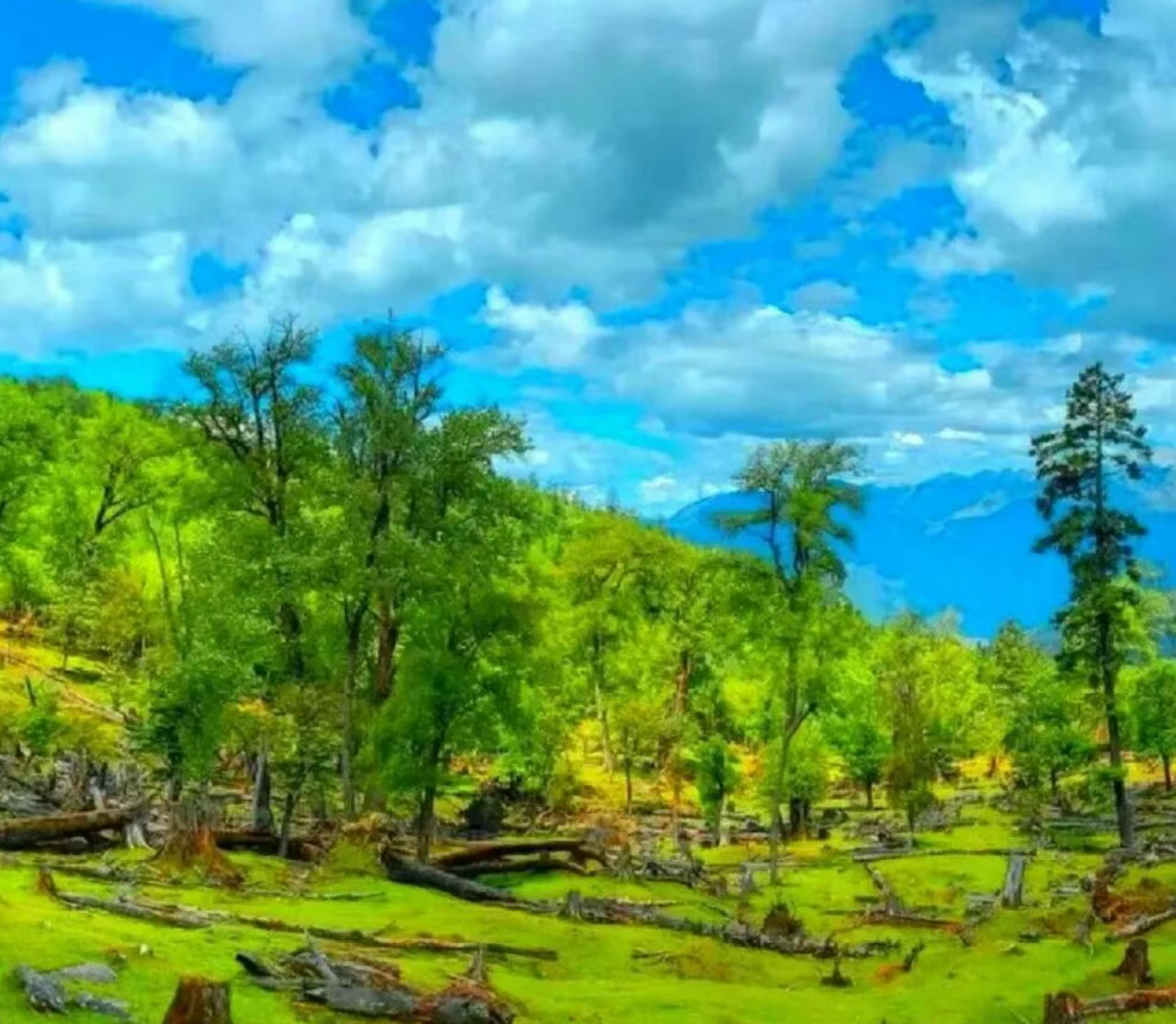 314e280a332fada89520b2212ed41da5