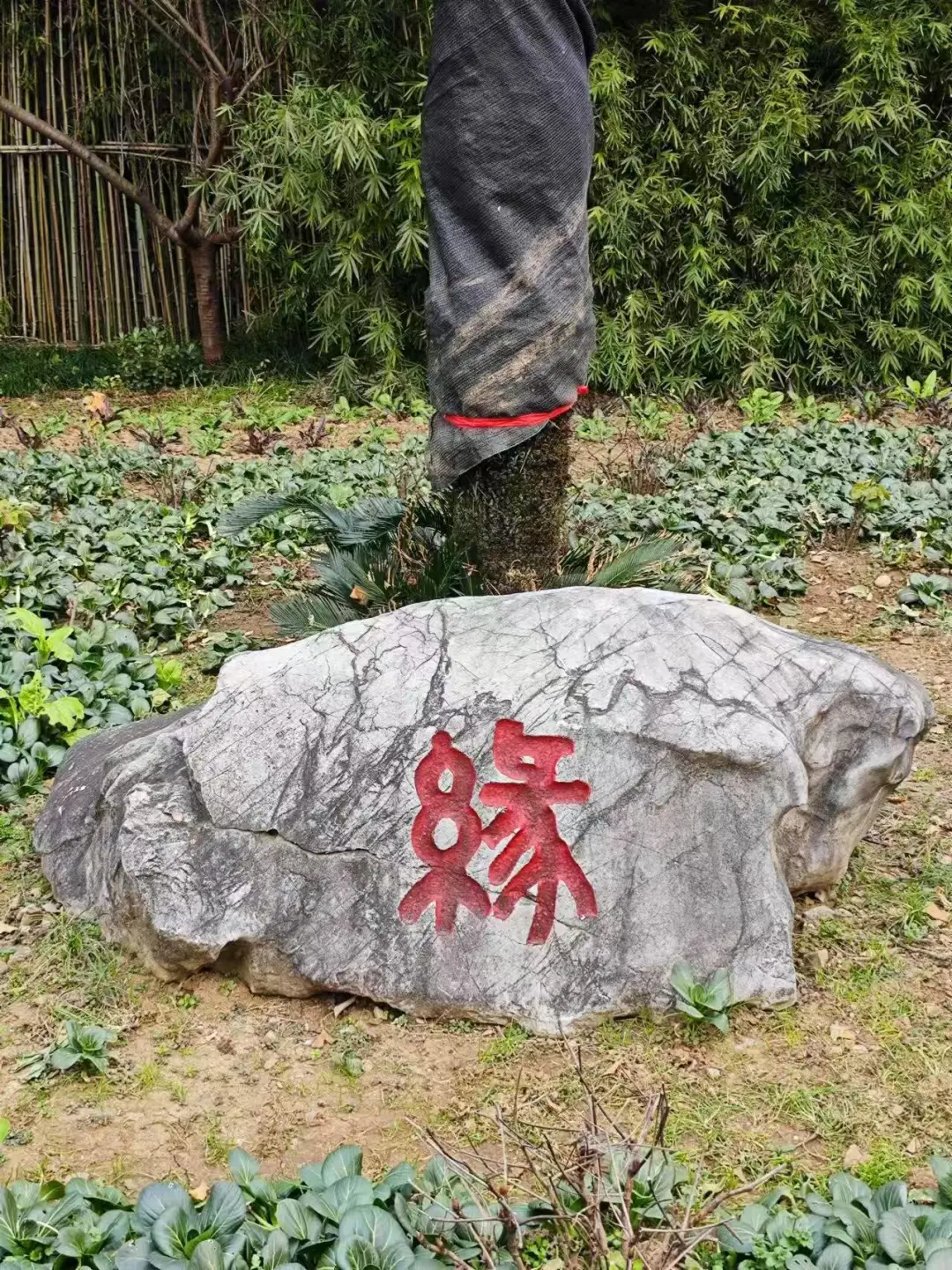 31a7682d9ddc945837703739f6678418-sz_649976