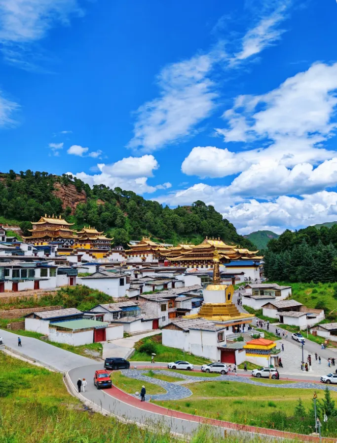 31b6ef80d90e2478221f6a0e7c286603-sz_928629