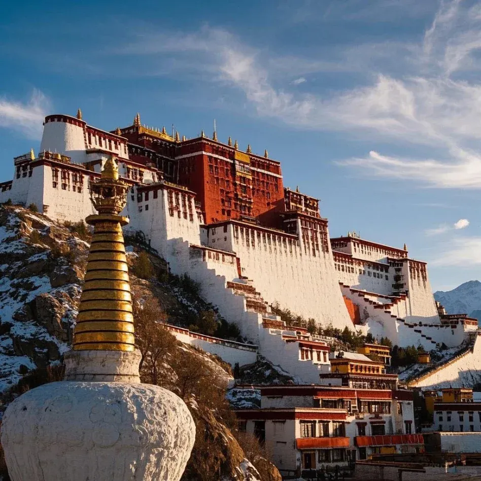 31b98e0983996b9cd948fe2be214d1d4-sz_1329470