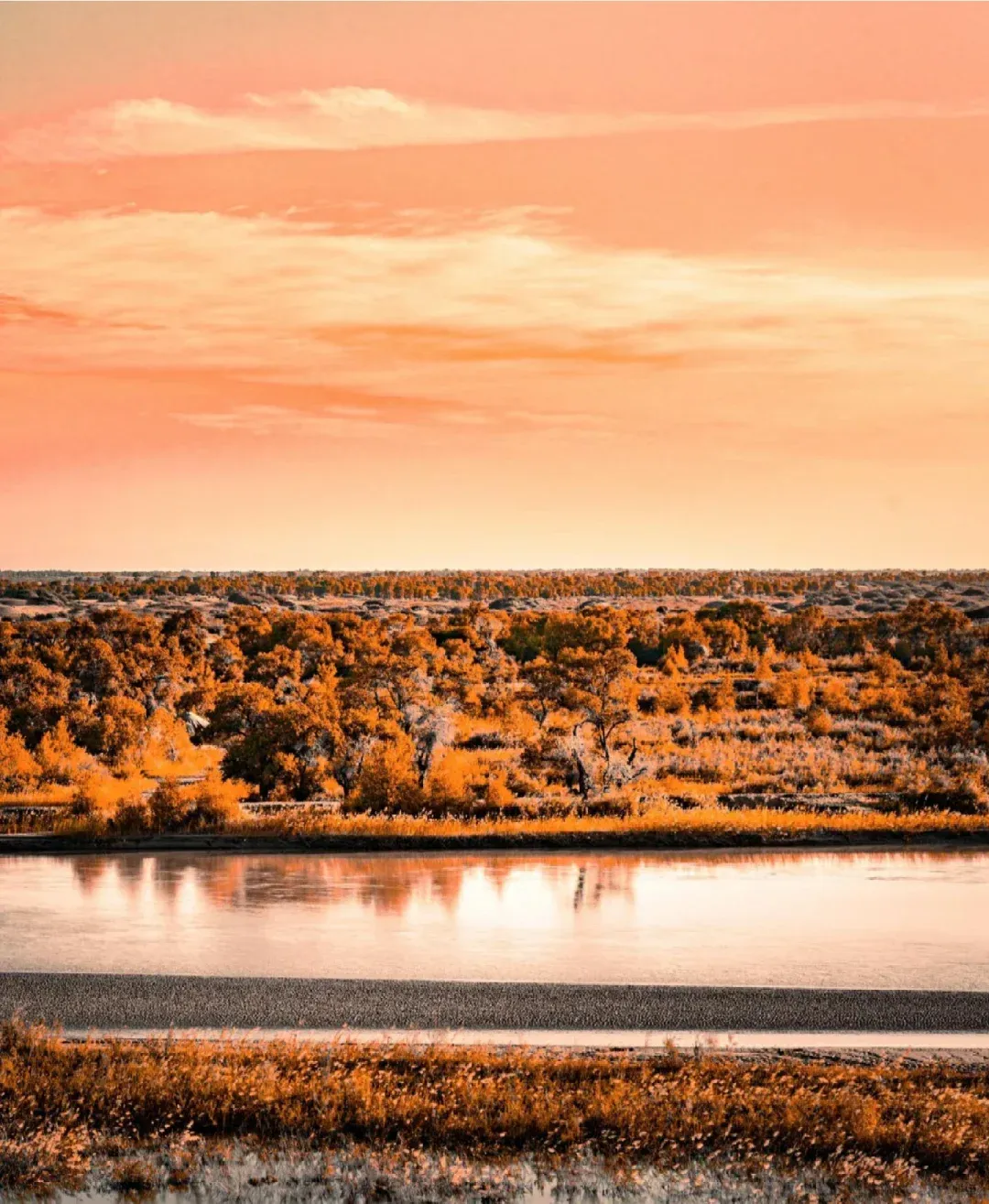 31bfab44d6b3806de1db1562f1ecc0d9-sz_2403374