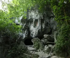 31d7c29e04debe9b656a4cd86239e476-sz_126577