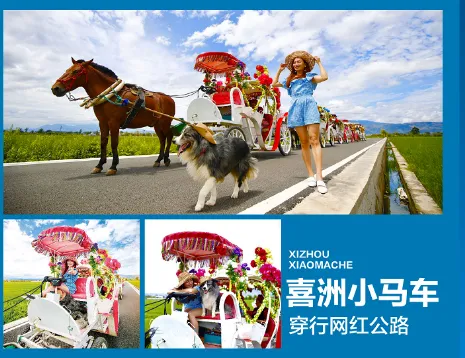 31ee078e29b9ceb6e077a448d3fed668-sz_311567