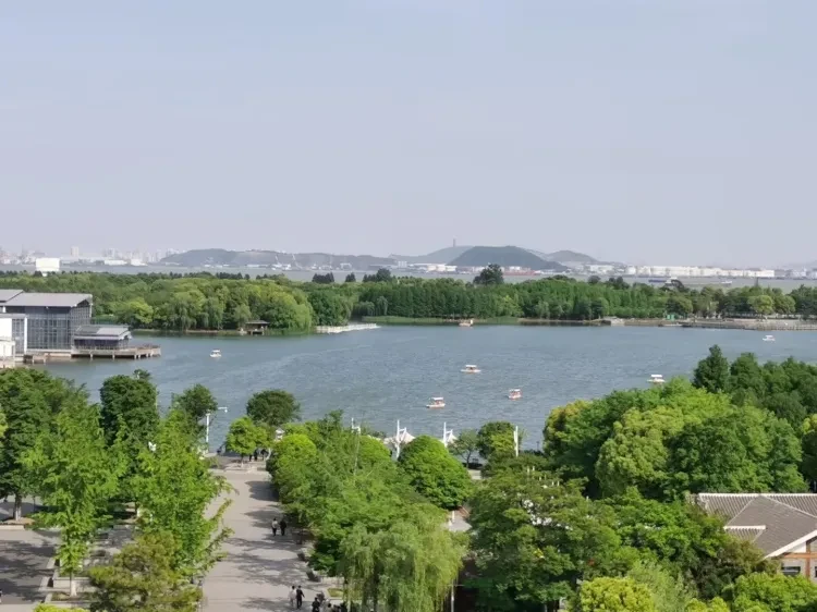 31f19ded624a8141ddce7d925bd1281c-sz_2173449