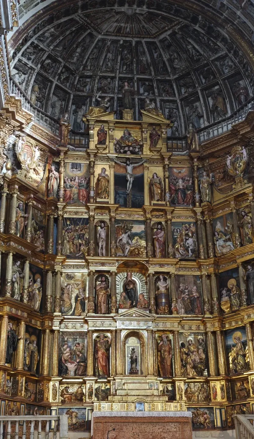 321507a2e88475732233c530f441d6d6-sz_712048