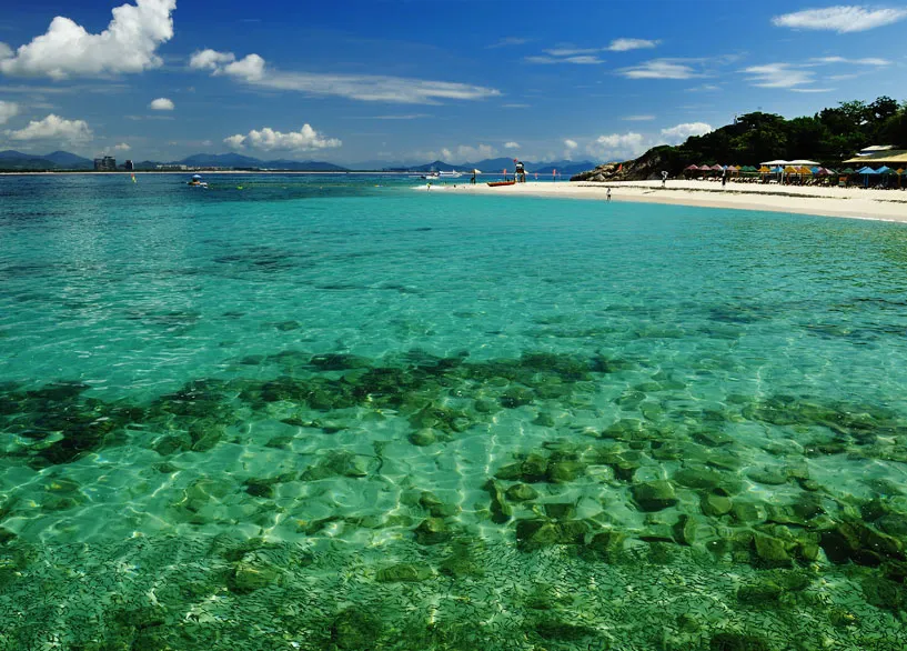 32289ae73ef832839519da65a5922327-sz_166806-2