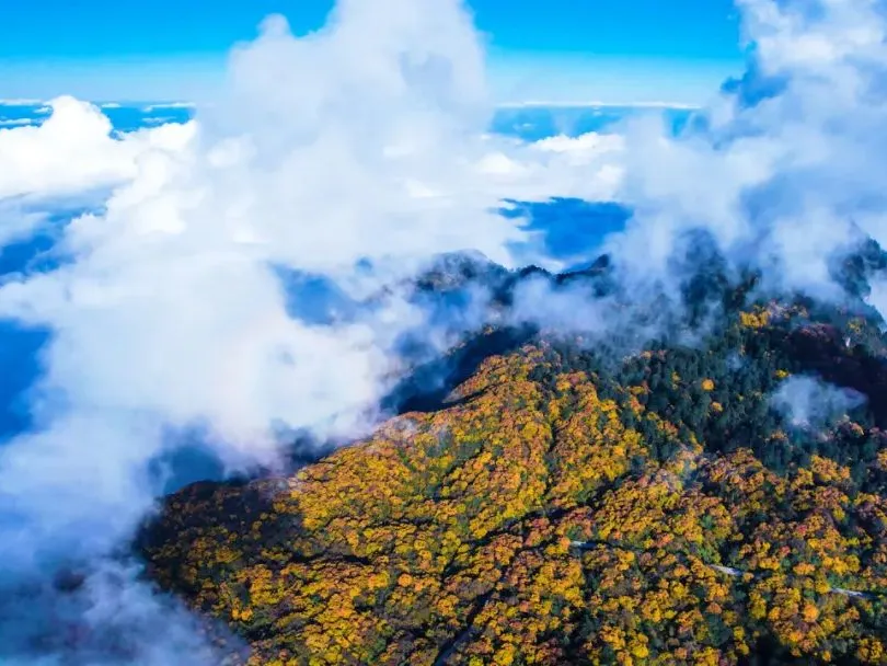 3229f4d526ad5559afe5961231537b60-sz_1497113