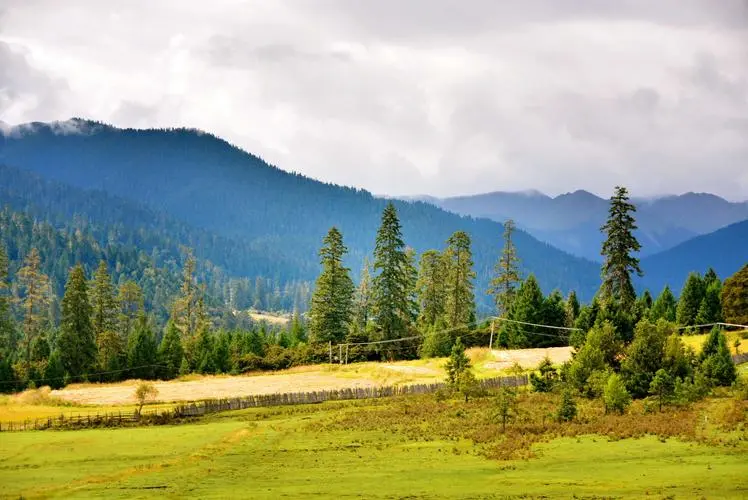 326e2208a97fedb060573c79096e8ab4-sz_64570