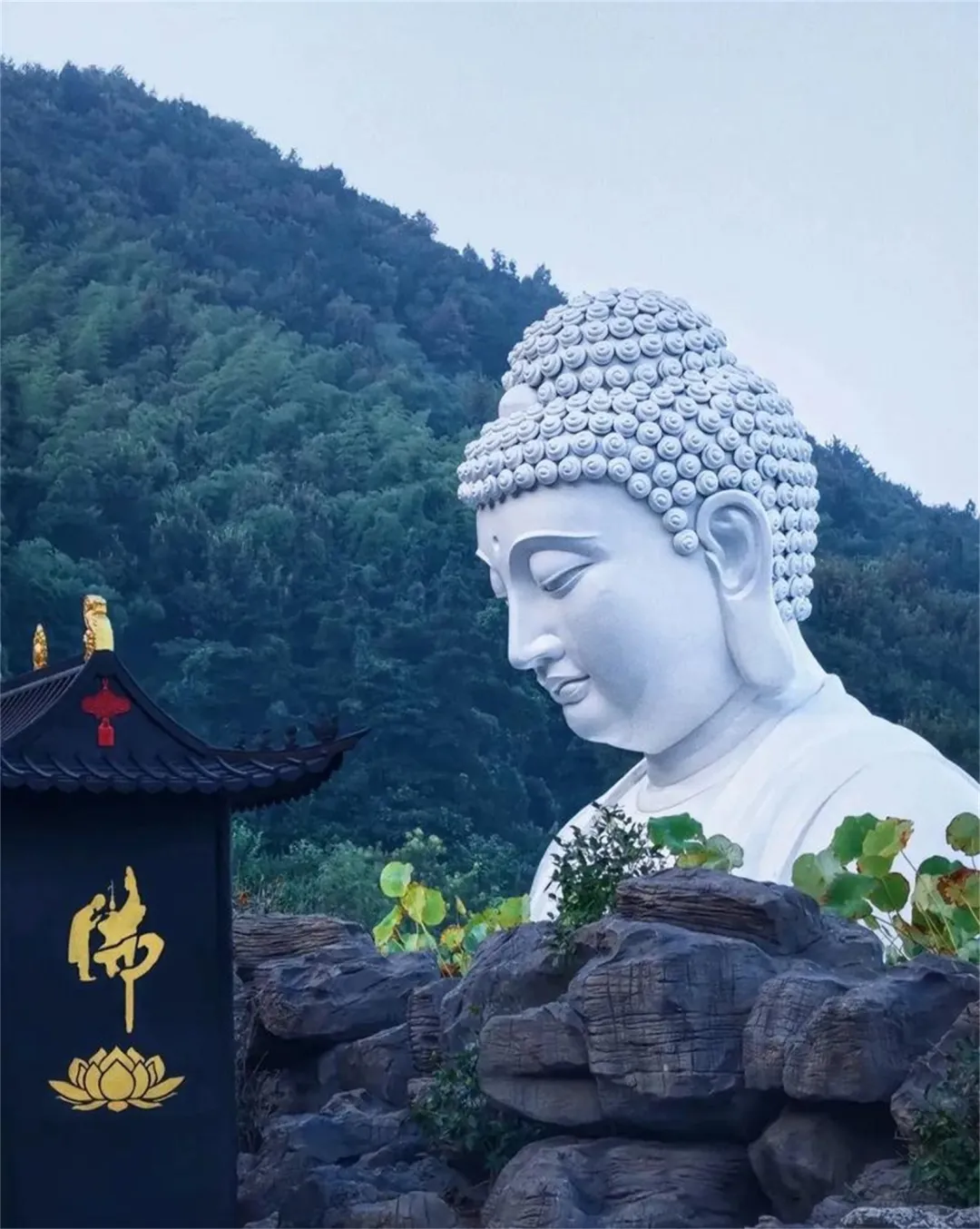 32c8b30ea311fd50c836958401d6c509-sz_597147