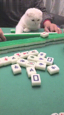 32f03a6bc5fa4a41b7489e438a89a86f-1