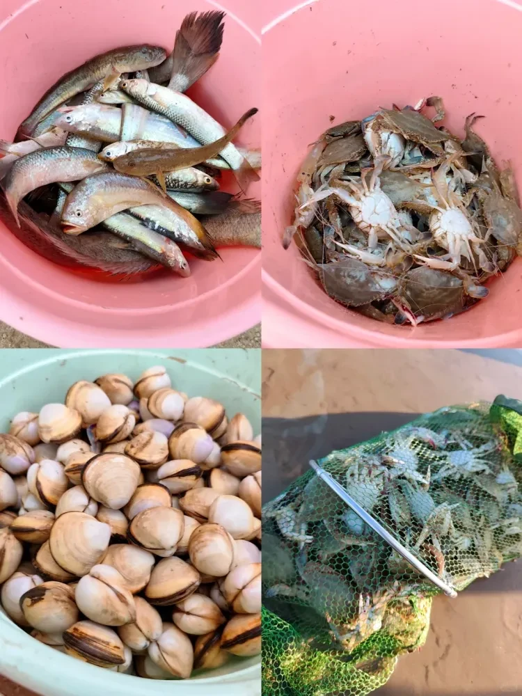 332a5e38f65ae92ef8482df4af060fb8-sz_3269294