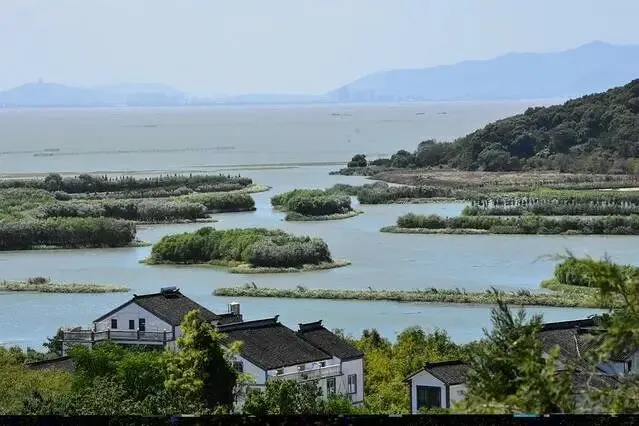 332ff4226795cf0d3ca66f1cd971add4-sz_52639