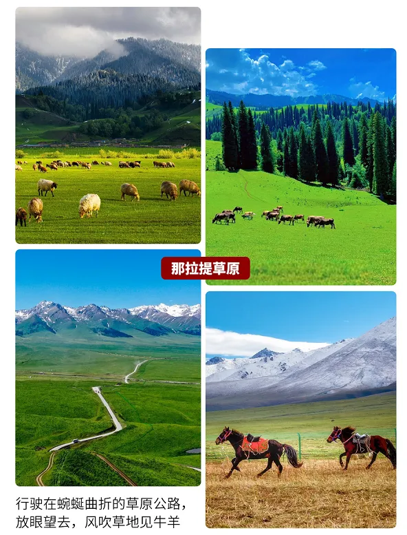 333410ce26f2252e80c2349eb5d6dec7-sz_1107791