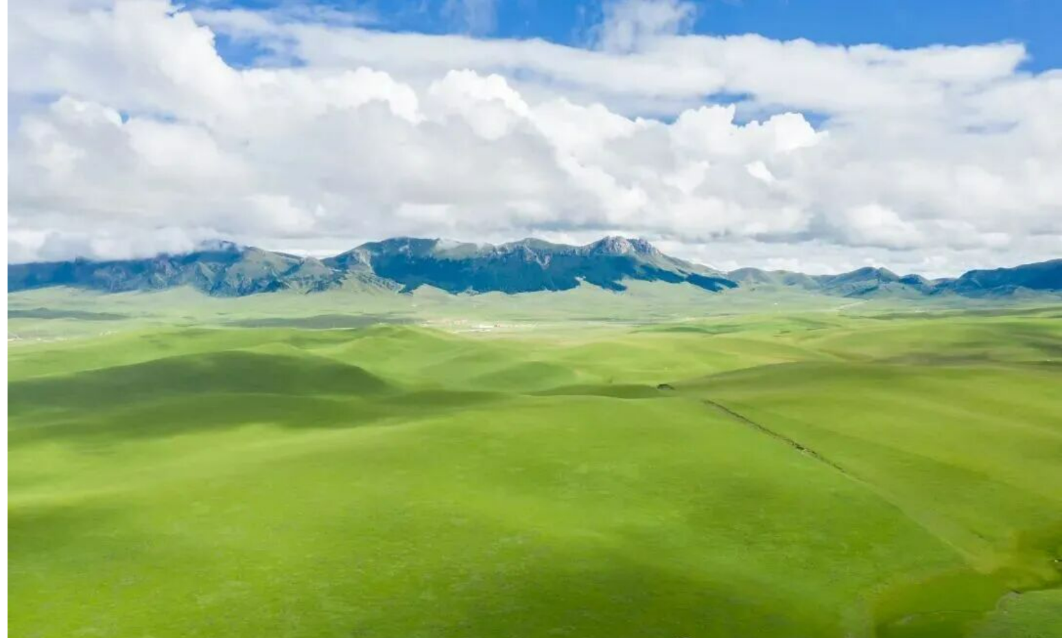 33804cebf85cf0a2cbb4ec368628acc4