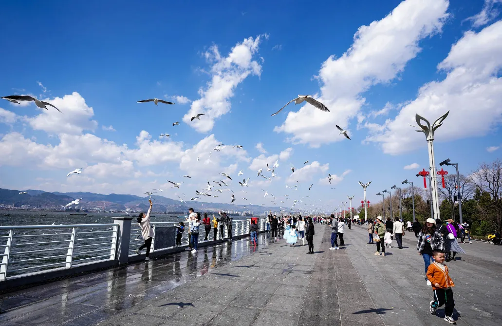 33c67cfbfd4825d1314e3f4d8d3136e5-sz_1115371