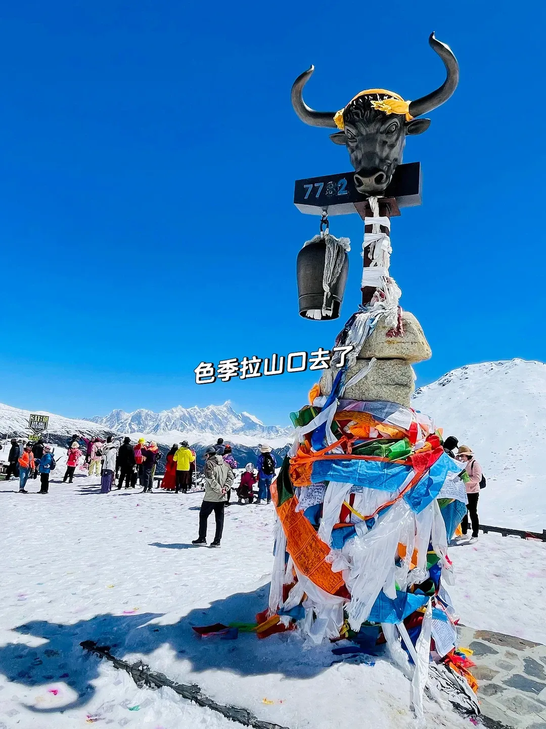 携程优选【雪域·桃花之约】①16人以上升级陆地头等舱2+1旅游车②全程入住网评四钻/星酒店，升级一晚五钻/星酒店，拉萨入住有氧酒店③携程优享20人团