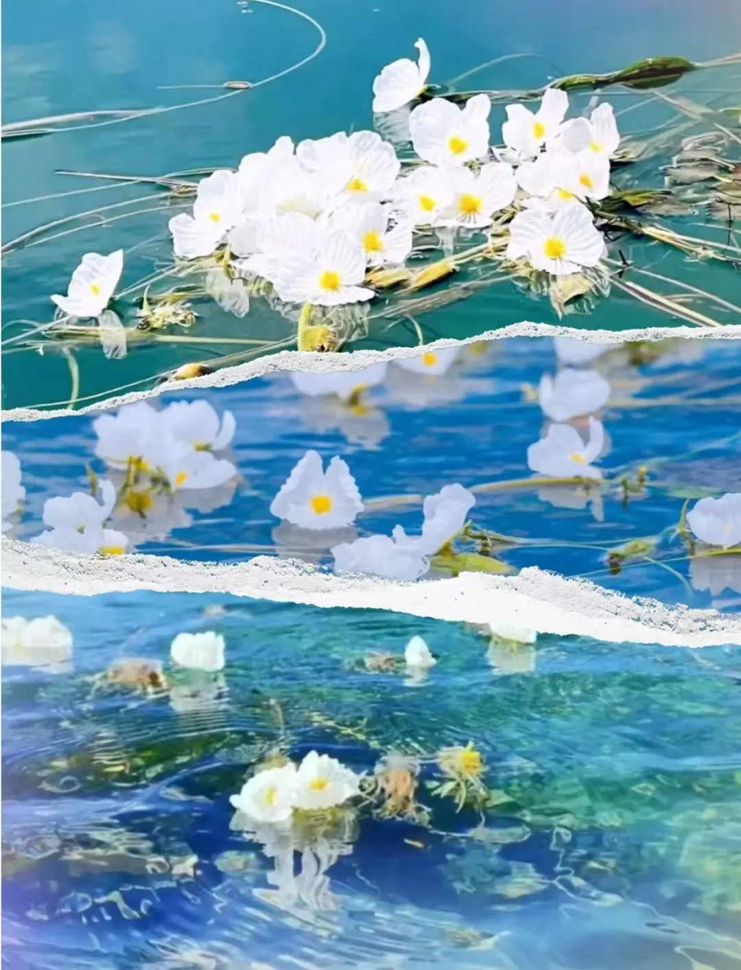 3457b2106e9b8967c388d2185f122611-sz_235153