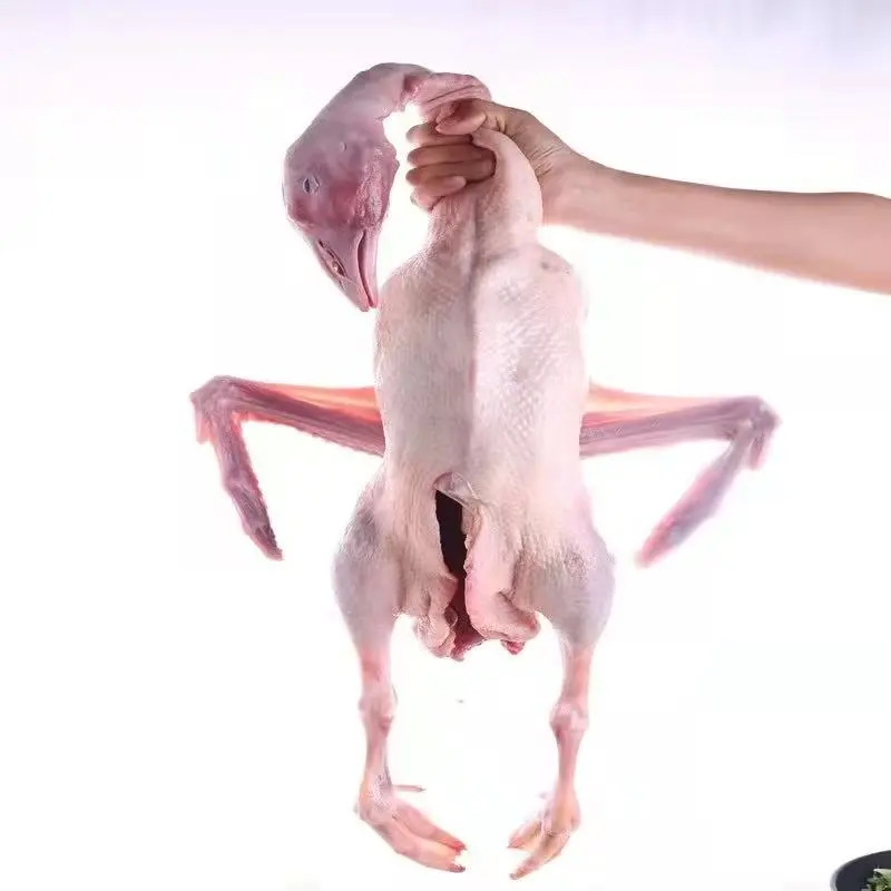 346b1b773886faf51f6cd0d39c4d2a03-sz_36469