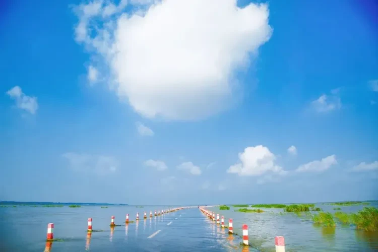 3474a4d7cf53d55945a6cbd5ca88ba5b-sz_53045