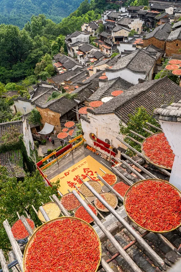 347eb5b3ff37daebf39c457dd4508681-sz_1646838 347eb5b3ff37daebf39c457dd4508681-sz_1646838