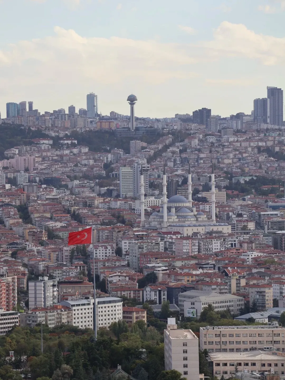 34aeee6e63b0fb9c87177ab1792a5e9e-sz_478177