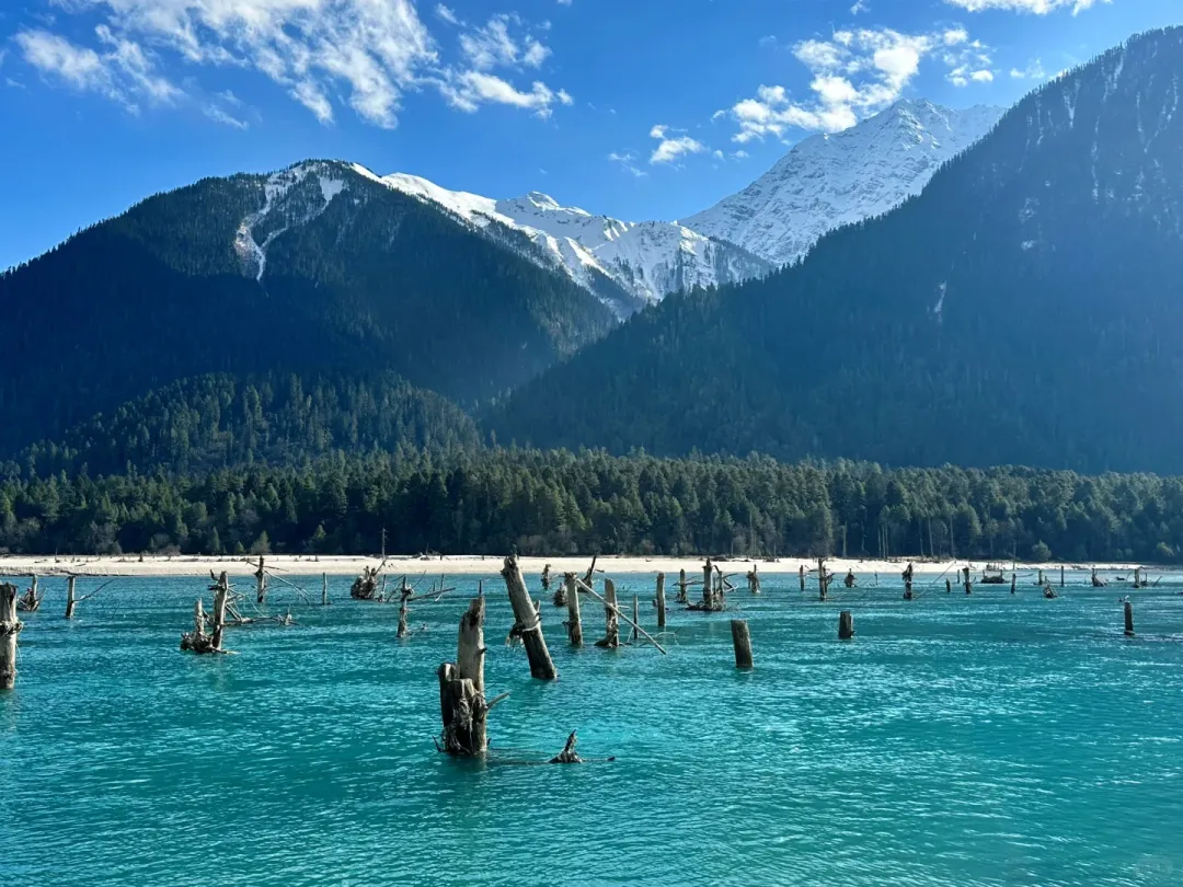 34e46a8c3d907cf3e3bd4d0c5a1e6731-sz_2646746