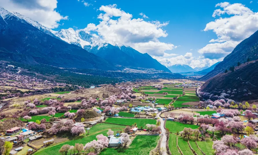 34e4c7c0d14f93eff82550d1ba0bd055-sz_1277734