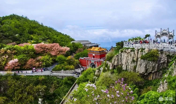 353023ab1103dfcc60aebb852a62c020-sz_107193