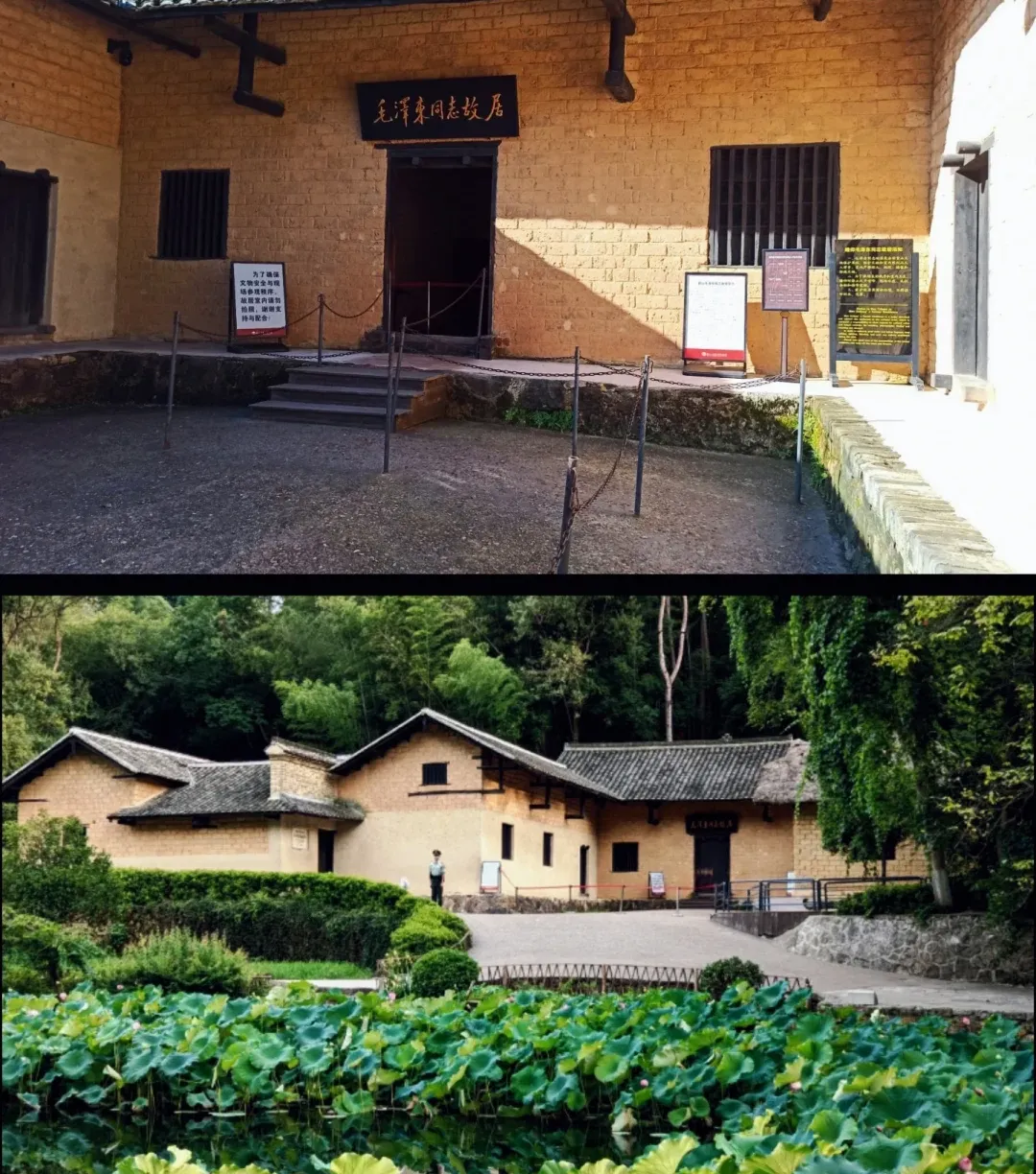 353d2ddba2fd6a8ff07dca55587d8872-sz_3753590