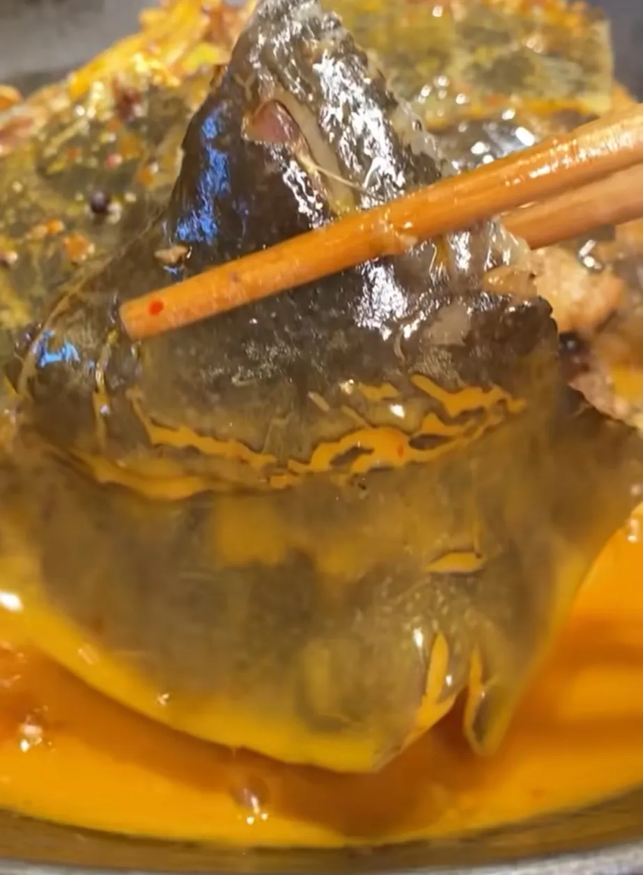 355f35ab486976038cbc7fe2b1f7892f-sz_523340