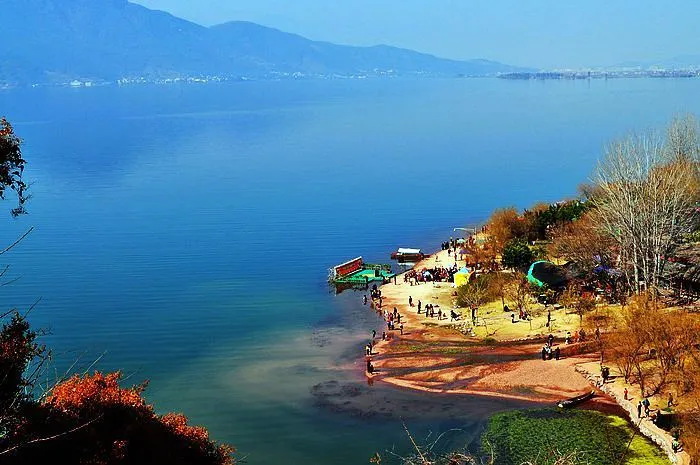 355fd71c2c352f30c51f24158a81ad26-sz_497890