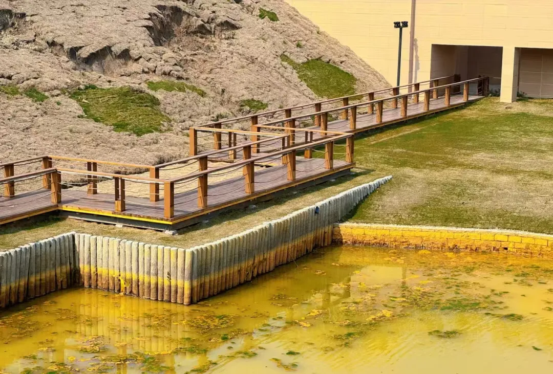 35a97a444bb0e0c37286db44698f3fa9-sz_1202720